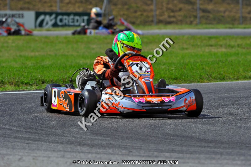 DSC_ (657).jpg